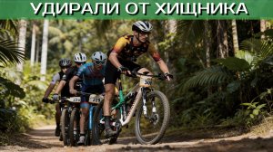 ХСМ Пульс 2025. Марафон в джунглях Барнаула