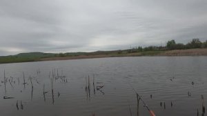 РЫБАЛКА В УДОВОЛЬСТВИЕ В САРАТОВСКОЙ ОБЛАСТИ