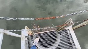 Озера и лесные массивы Польши, 17.03. Мир Универсологии