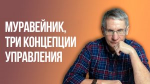 Муравейник, три концепции управления. Валентин Ковалев