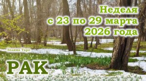 РАК | ТАРО прогноз на неделю с 23 по 29 марта 2026 года