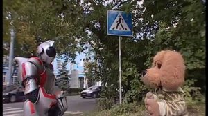 По всем правилам вместе с Хрюшей - Дорожные знаки