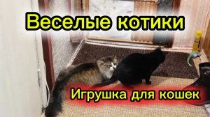 ВЕСЁЛЫЕ КОШКИ. Игрушка для кошек.