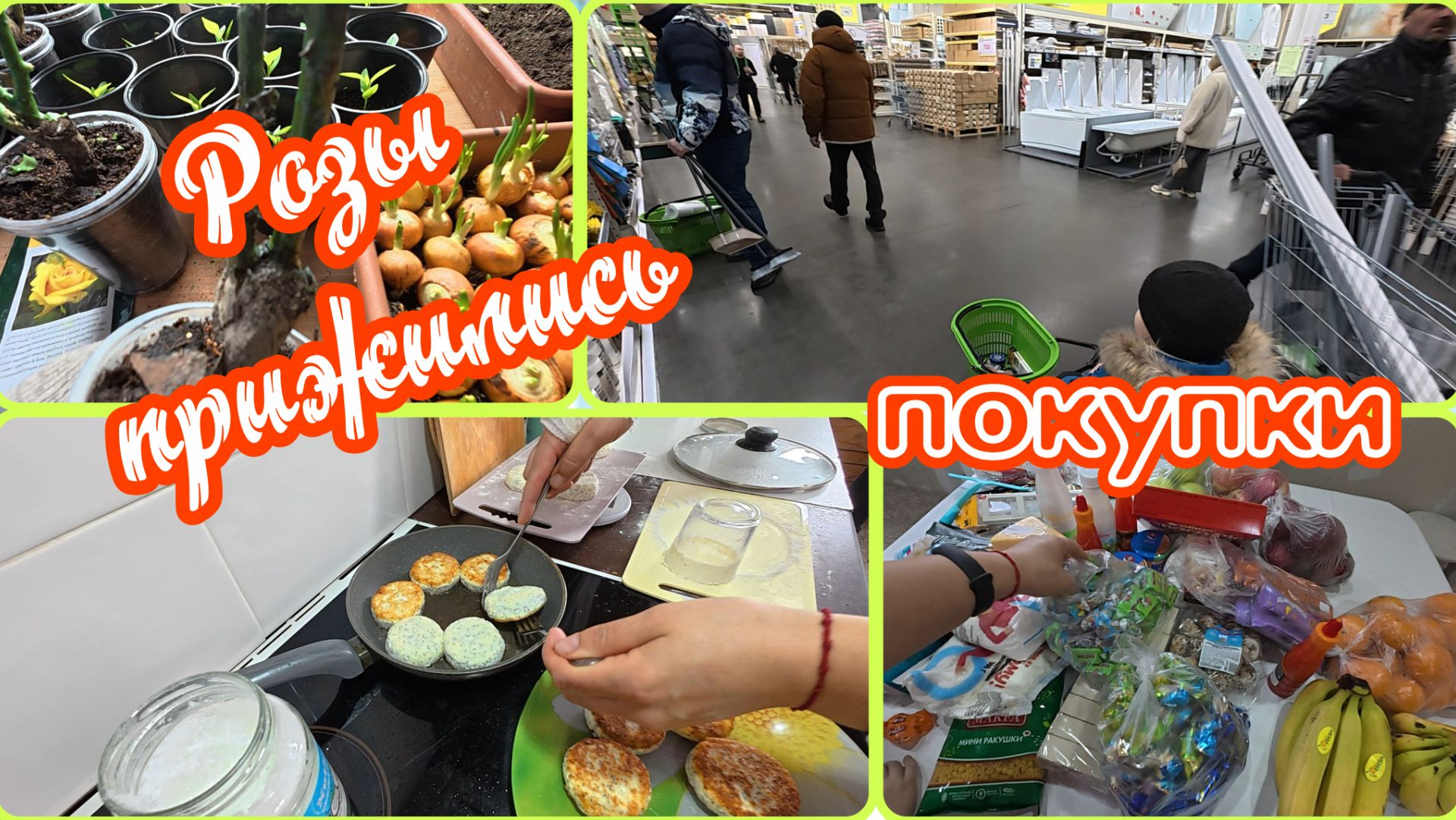 17.03.2026 // В Лемано Про // Купили уголь // Стряпаю сырники