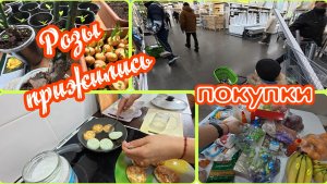 17.03.2026 // В Лемано Про // Купили уголь // Стряпаю сырники