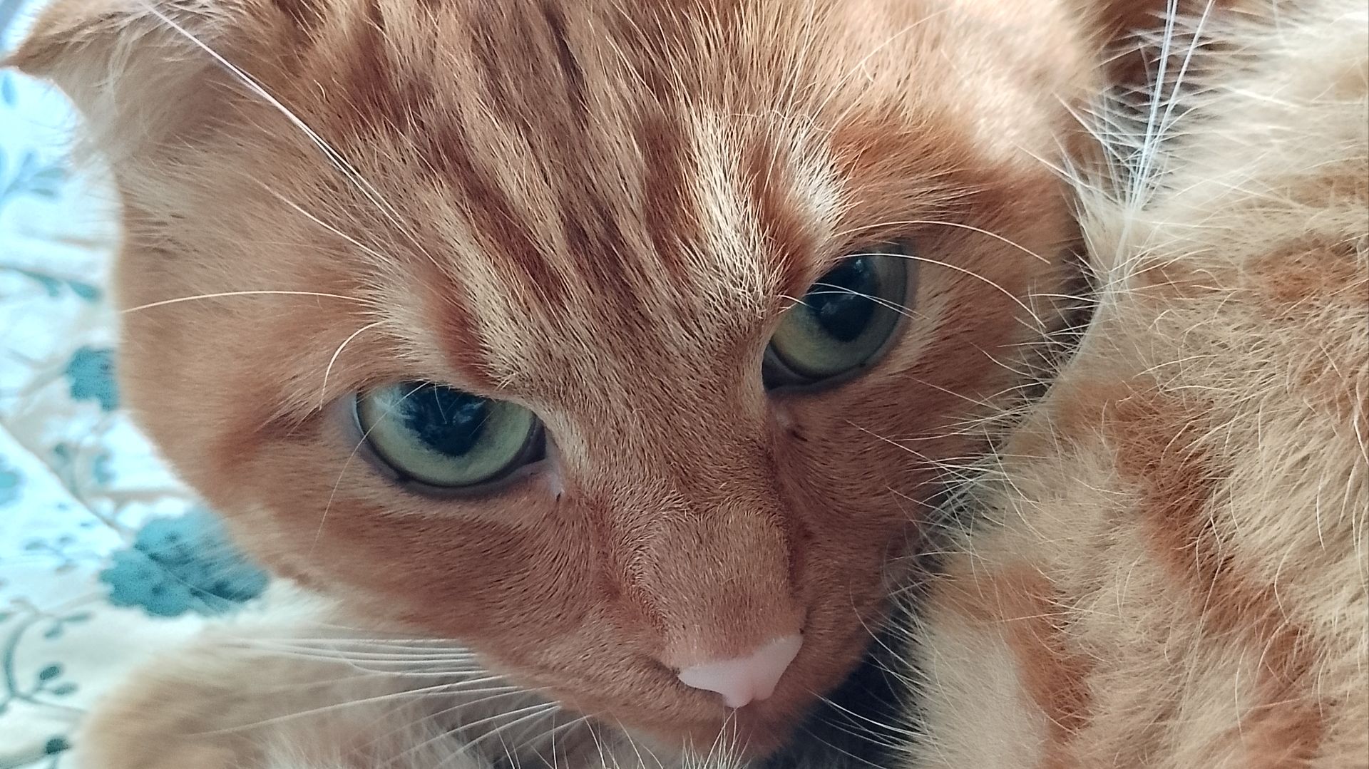 Играем в плюшикав 2 часть