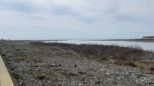 Сочи спустя год…и да, проблема была в тэне)