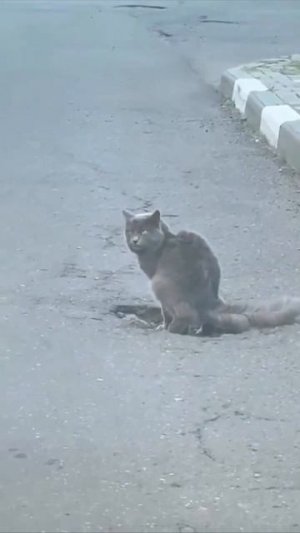 Пришла весна, ремонтируем дороги