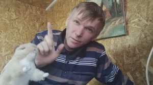 Детская песенка. "Я же просто человек!"\авторская песня\