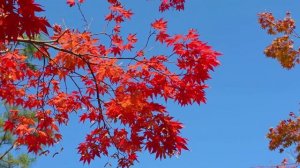 Однажды к тебе постучится Бог - Сергей Морозов