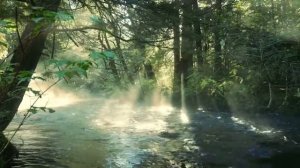 КОГДА РЯДОМ НЕТ НИКОГО...ролик от Яны