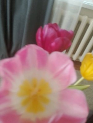 кушаю вкусняшку