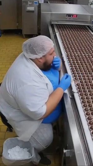 Это лучшая работа в мире