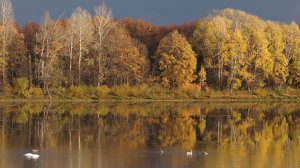 Песня-зарисовка "Осень на о.Аракуль" Башкортостан
