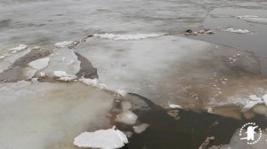 Ледоход на реке Хопер 2026 4К