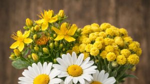 Старинный рецепт долголетия монахов.