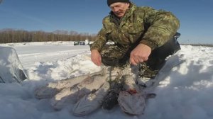 Рыбалка в Сибири, часть 92: жерлицы на налима.
