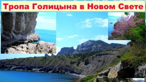 №661. По тропе Голицына в Новом Свете