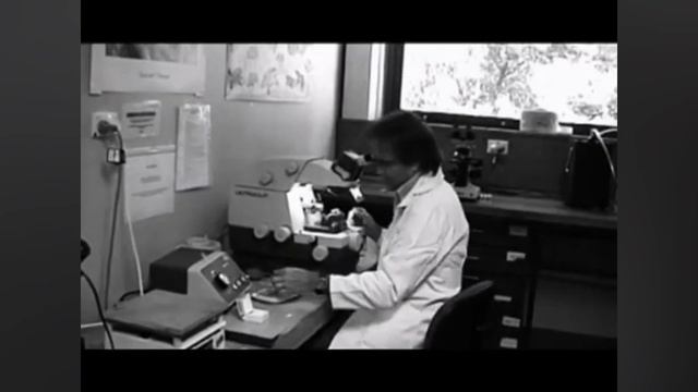 подготовка образца к просвечивающей электронной микроскопии.mp4