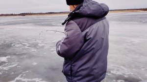 р.Свирь весна