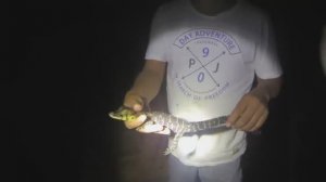 РЫБАЛКА НА РЕКЕ АМАЗОНКА