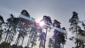 Я желаю счастья вам