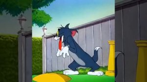 🎬Том и Джерри