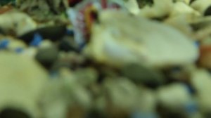 слежу за рыбами🐟