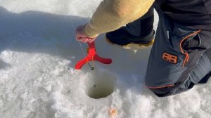 Поимка форели