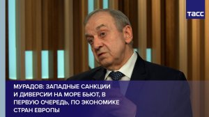 Мурадов: санкции Запада и диверсии на море бьют в первую очередь по экономике Европы