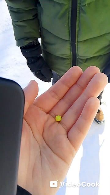 Смешные моменты из жизни