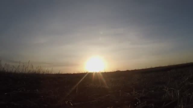 ГУСИНАЯ ОХОТА В САРАТОВСКОЙ ОБЛАСТИ