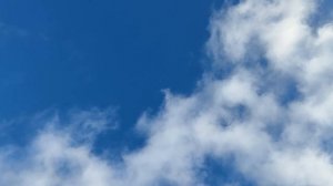 Полет Андижанских голубей