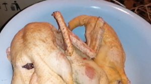 Сколько весит тушка индоуток в 4,5 месяца? / Есть ли разница между белой и чёрной уткой? / 100 утят