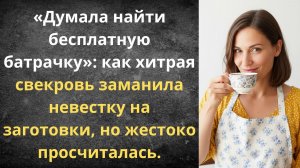 Бесплатная прислуга для свекрови отменяется | Истории из жизни