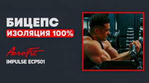Забудьте Про Гантели: Как Тренажер Скотта Меняет Правила Игры Impulse ECP501