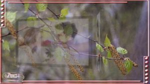 ПРИДИ КО МНЕ