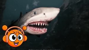 WE SWAM TOO FAR IN THE OCEAN..(Oren & Pinki)