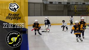 МАЯК-БЕЛЫЕ МЕДВЕДИ 22.02.2026