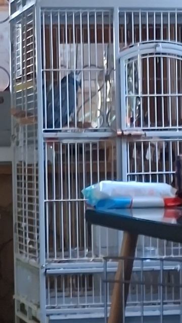 С  УТРЕЧКОМ  ВАС  .  😃😄😁