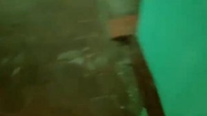 Лифт NLM 2022 года. Саранск, Энгельса 15 к 2, 2 п