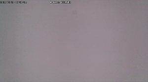 LIVE: channel43489494