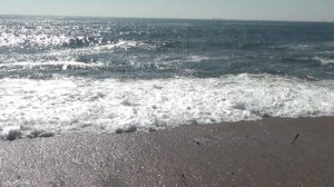 Португалия - Порту День 2