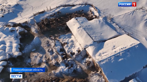 В Новосибирской области оказывают помощь жителям сёл со вспышкой пастереллёза