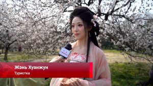 🌸Самое яркое путешествие: в Китае стартовал сезон весеннего цветения