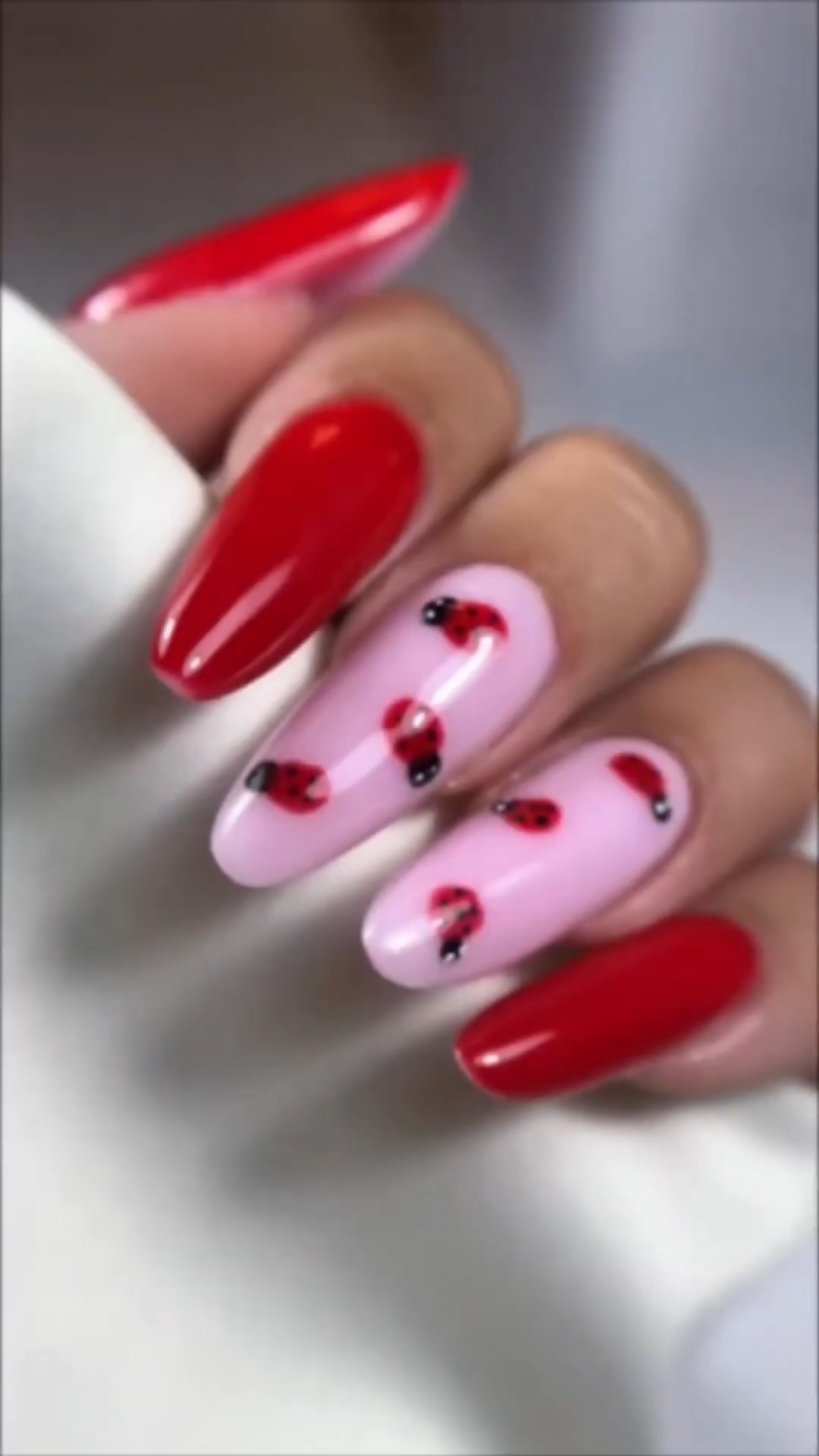 Время для самых простых божьих коровок🐞