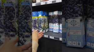 🌿 Новое поступление саженцев! Агроном Роман расскажет всё о новинках.🌿