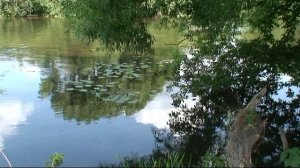 Medwyn Goodall.Sail Away.От рассвета до заката.