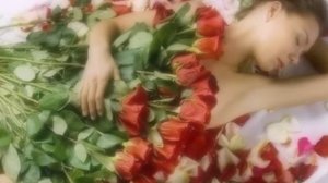 Ярослав Евдокимов - Роза красная моя