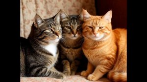 Видео на стих "Прощай, котенок"